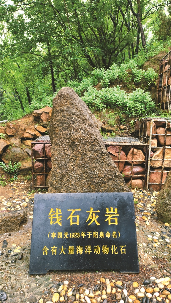 f8f5e976-61eb-11f0-936a-fe0a77d653f9.jpg