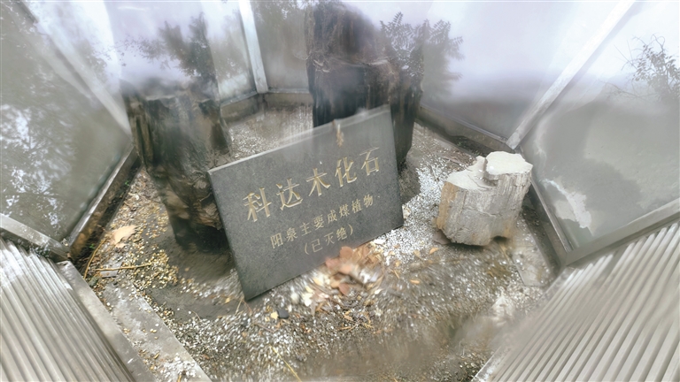 02c672b8-61ec-11f0-9ddd-c697f09d0bb3.jpg